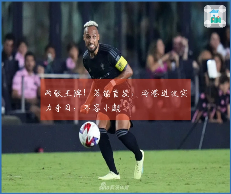 两张王牌！若能首发，海港进攻实力夺目，不容小觑