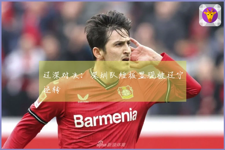 辽深对决：深圳队短板显现被辽宁逆转