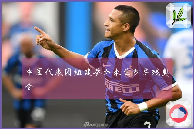 中国代表团组建参加米兰冬季残奥会